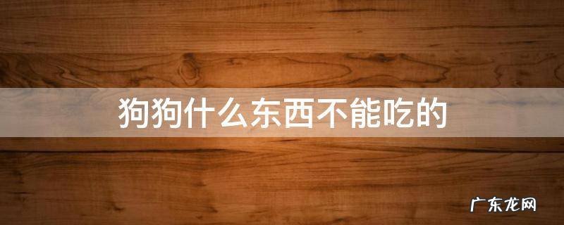 狗狗什么东西不能吃的 什么东西狗狗不可以吃