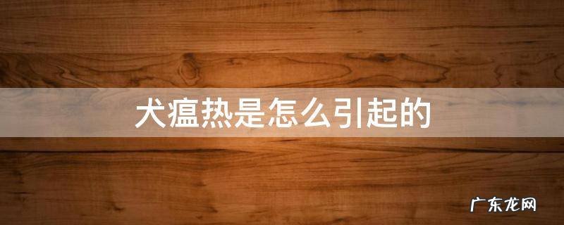 犬瘟热是怎么回事 犬瘟热是怎么引起的