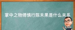 掌中之物傅慎行陈禾苗 掌中之物傅慎行陈禾果是什么关系