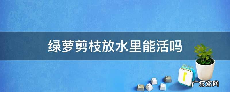 绿萝剪枝插水里可以养活吗 绿萝剪枝放水里能活吗