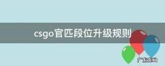 csgo官匹段位升级规则 csgo官匹段位定级机制