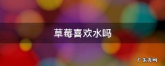 草莓喜欢水吗 种植草莓喜欢水吗