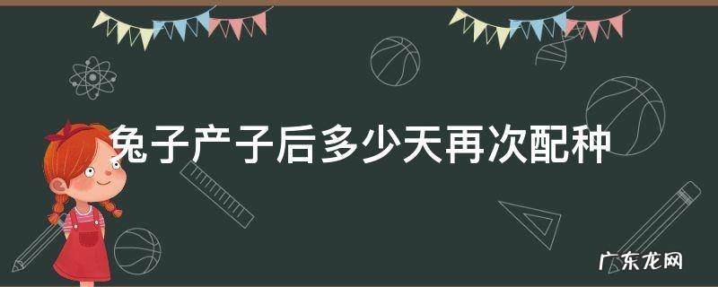 兔子产后多久再次配种 兔子产子后多少天再次配种