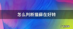 猫藓好转的迹象是什么 怎么判断猫藓在好转