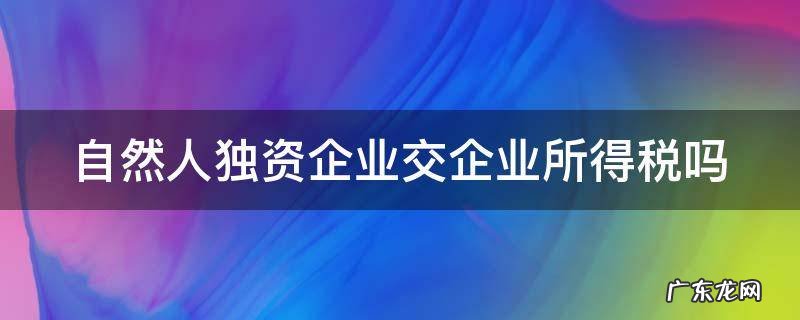 自然人独资企业交企业所得税吗 自然人独资企业交企业所得税吗?