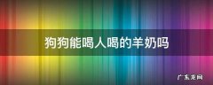 人喝的羊奶能给狗狗喝吗 狗狗能喝人喝的羊奶吗