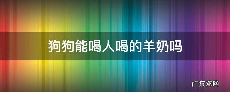 人喝的羊奶能给狗狗喝吗 狗狗能喝人喝的羊奶吗
