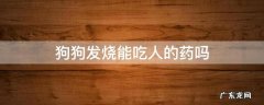 狗狗感冒发烧可以吃人的药吗 狗狗发烧能吃人的药吗