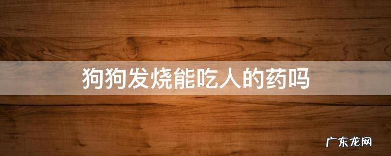 狗狗感冒发烧可以吃人的药吗 狗狗发烧能吃人的药吗