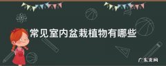 50种常见室内盆栽绿化植物是哪些 常见室内盆栽植物有哪些