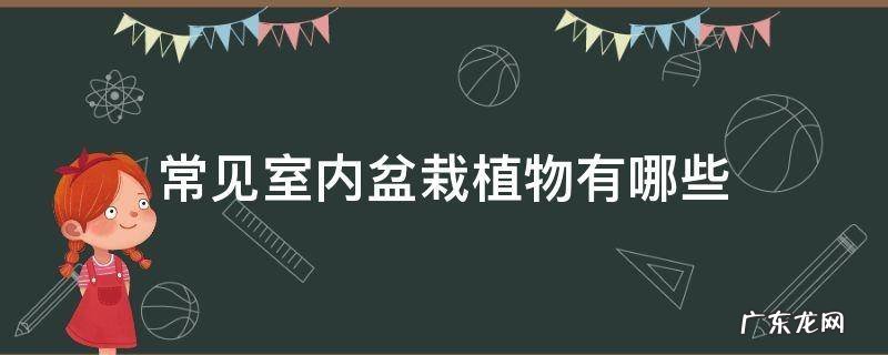 50种常见室内盆栽绿化植物是哪些 常见室内盆栽植物有哪些
