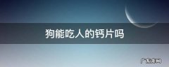 泰迪狗能吃人的钙片吗 狗能吃人的钙片吗