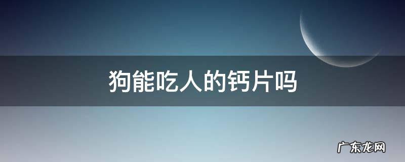 泰迪狗能吃人的钙片吗 狗能吃人的钙片吗