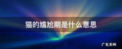 猫的尴尬期是什么意思 什么叫猫的尴尬期