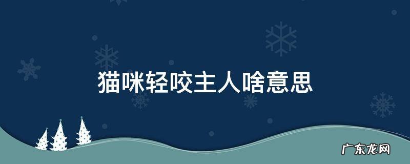 猫咪轻轻的咬主人 猫咪轻咬主人啥意思