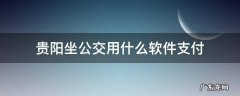 贵阳坐公交用什么软件支付 贵阳坐公交用什么软件支付?苹果