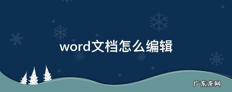 word文档怎么编辑页码顺序 word文档怎么编辑