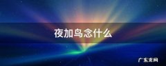 夜加鸟念什么 夜加一个鸟念什么